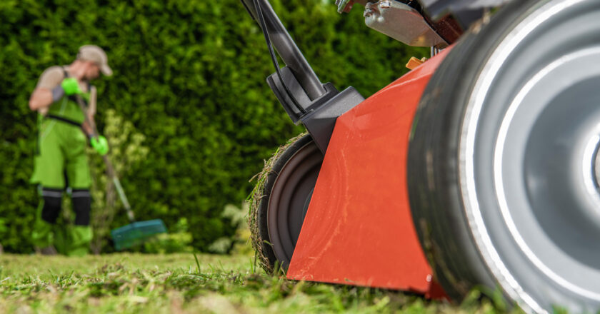 Quels sont les équipements indispensables pour l’entretien d’un jardin ?