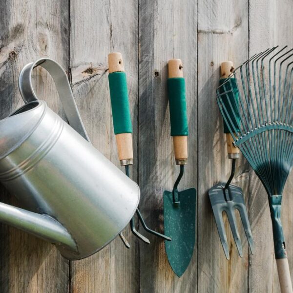 Les outils de jardinage : que faut-il savoir sur leur fonction ?