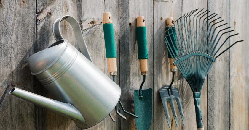 Les outils de jardinage : que faut-il savoir sur leur fonction ?