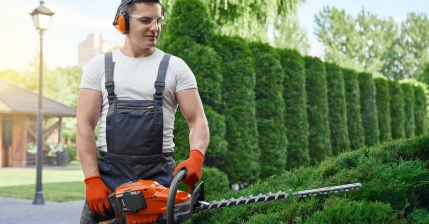 Pourquoi faire appel à un paysagiste pour l’aménagement de votre jardin ?