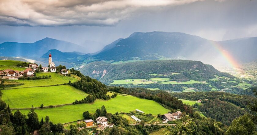 Acteurs et nature : Qui a vraiment la main verte ?