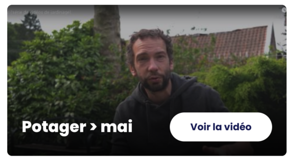 Jardin Potager Bio sur Youtube