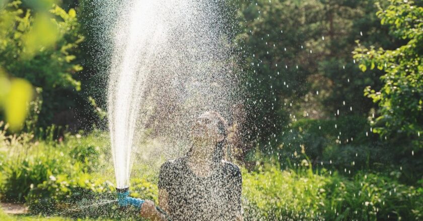 Guide pour trouver le brumisateur de jardin parfait pour les climats arides