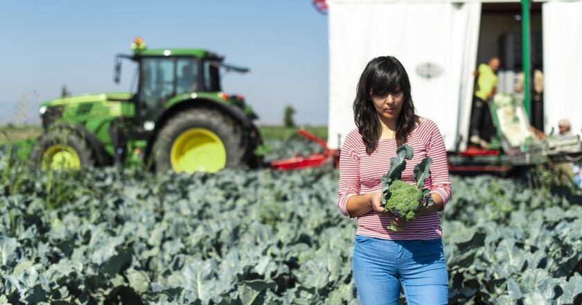 Désinfection du matériel agricole : protéger votre ferme des maladies