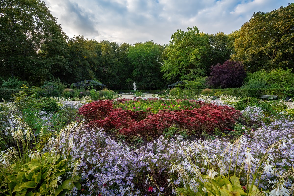 jardin sauvage