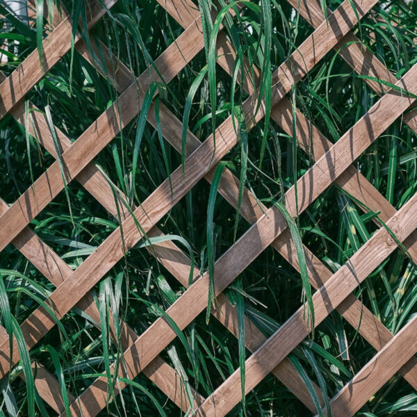 Clôture en bambou et grillage : une ambiance zen naturelle