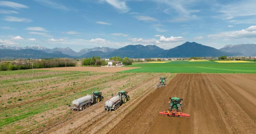 Drones et agriculture : amélioration de la surveillance des cultures