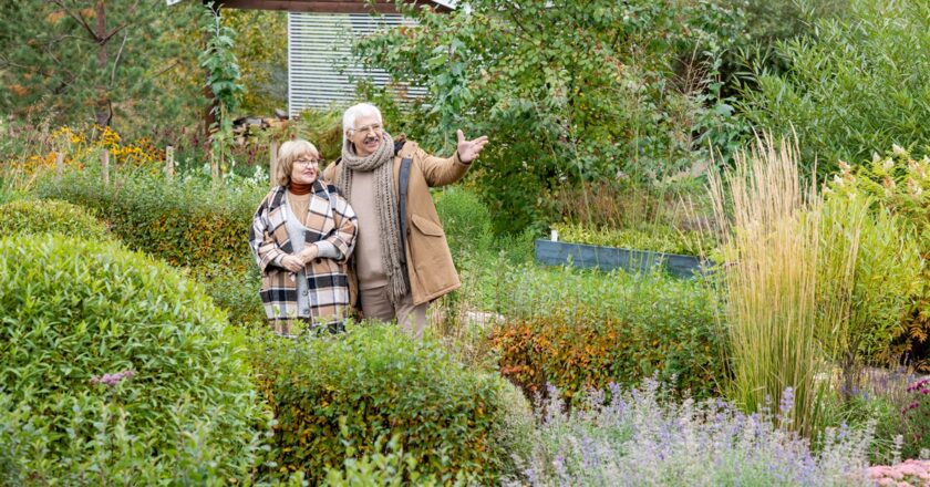 Troène et biodiversité : Favorisez la vie sauvage dans votre jardin