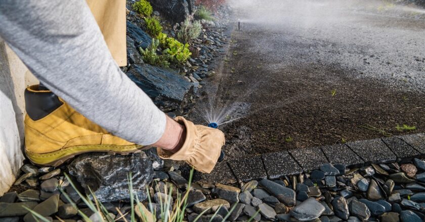 Choisir l’arroseur idéal pour votre jardin potager