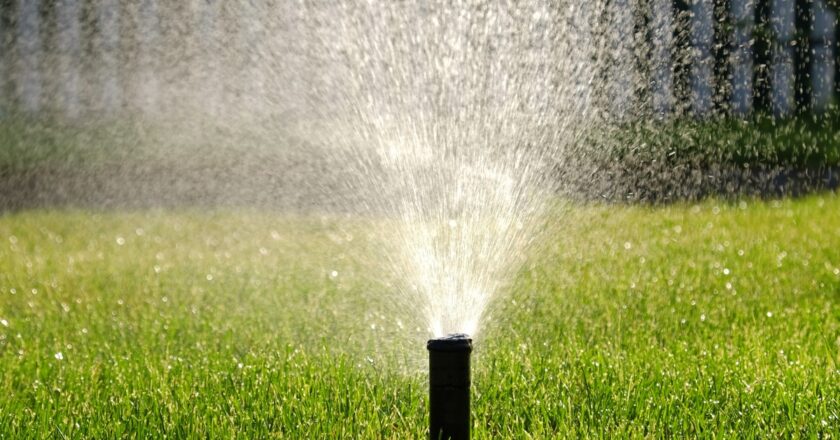 Systèmes d’arrosage automatique personnalisés pour petits jardins