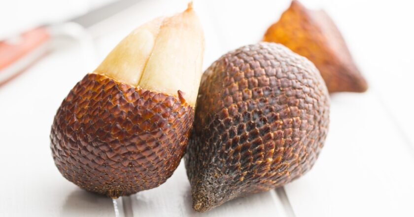 Cultiver le salak dans votre jardin : conseils pour un fruit serpent chez soi