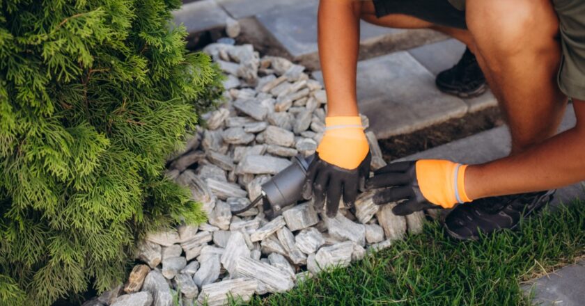 Techniques pour créer une terrasse gravillonnée dans un jardin urbain