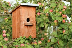 bienfait nichoir  jardin