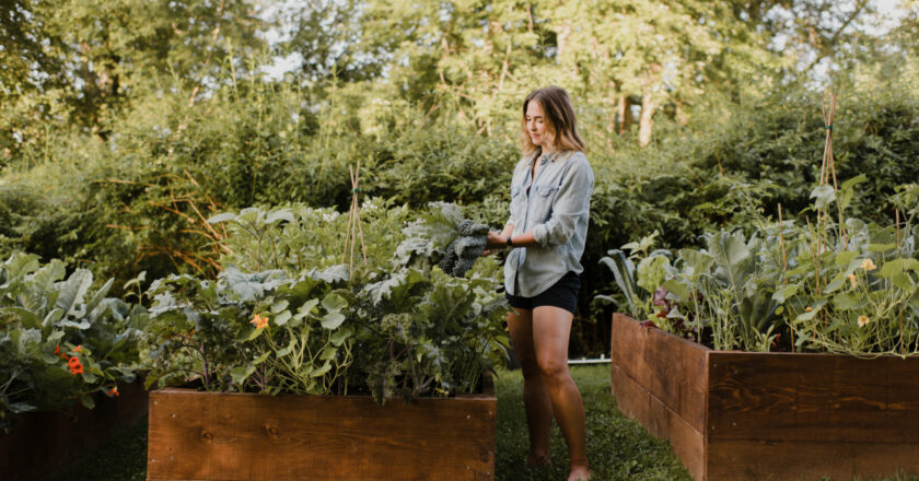 Les avantages des jardinières surélevées pour votre jardin