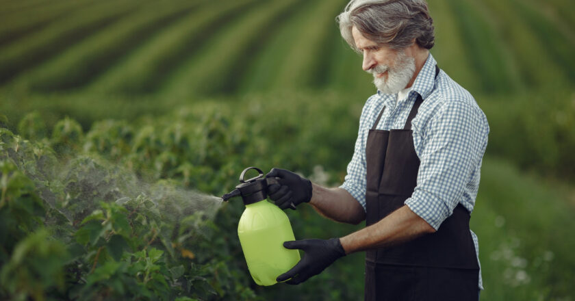 Comment déterminer le bon dosage du glyphosate pour 5 litres d’eau dans votre jardin