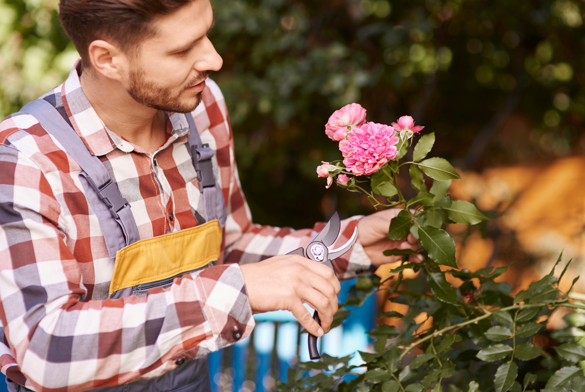Gardener with pruning shears pruning flower