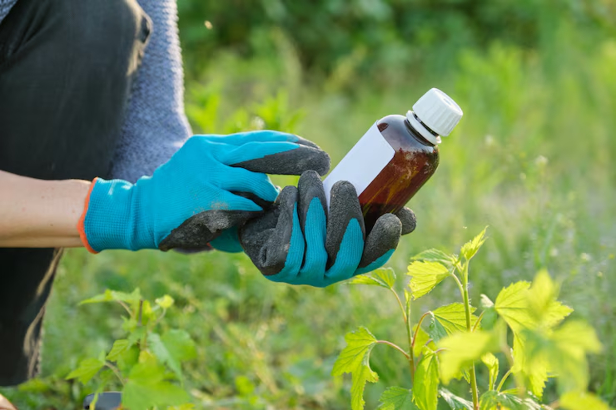glyphosate