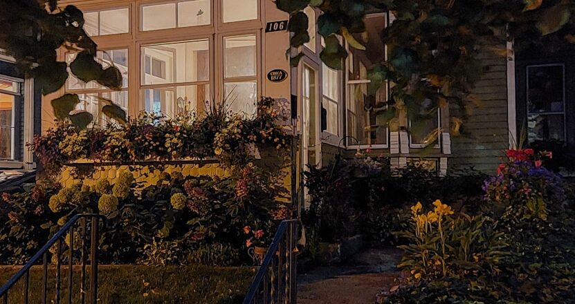 Le guide complet du sol PVC : Le revêtement idéal pour votre intérieur de véranda ?