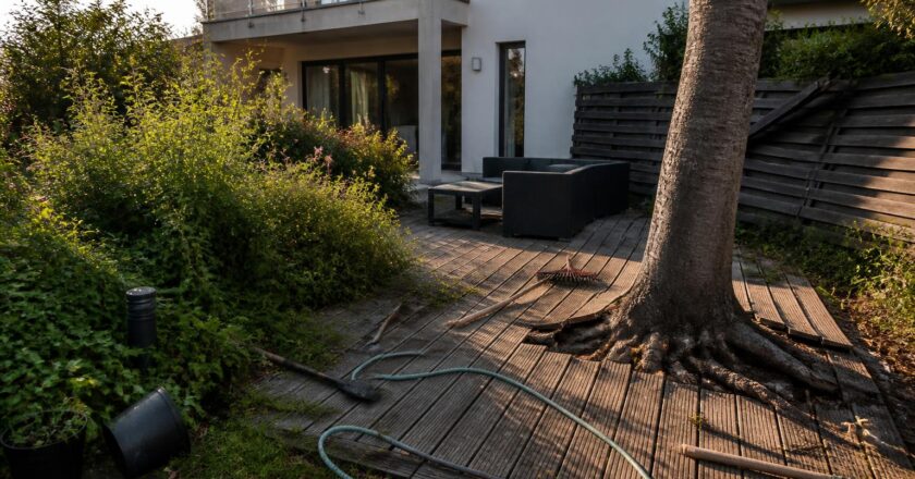 Les erreurs fréquentes à éviter lors de l’aménagement de votre habitat et jardin