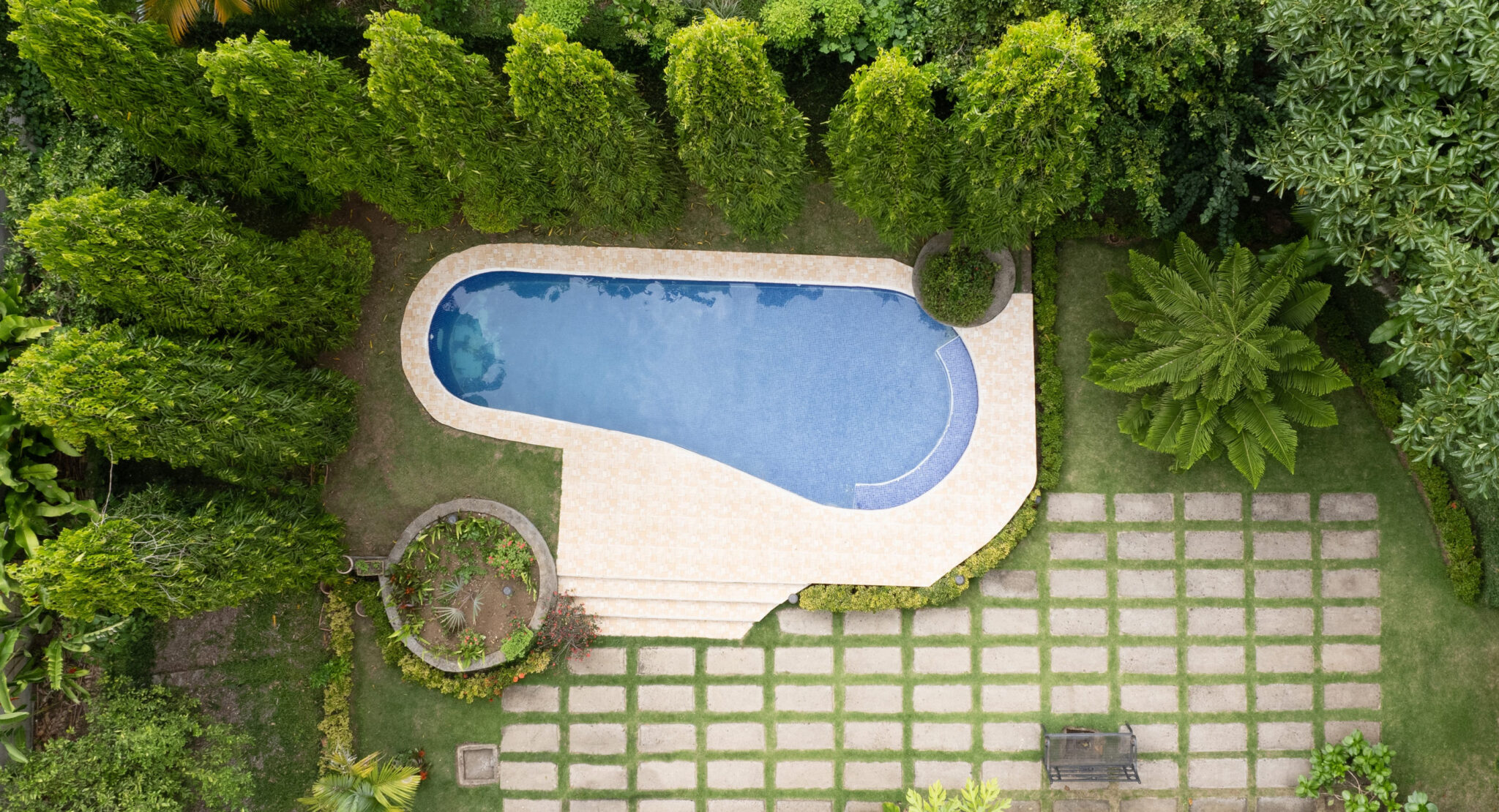 jardin et piscine