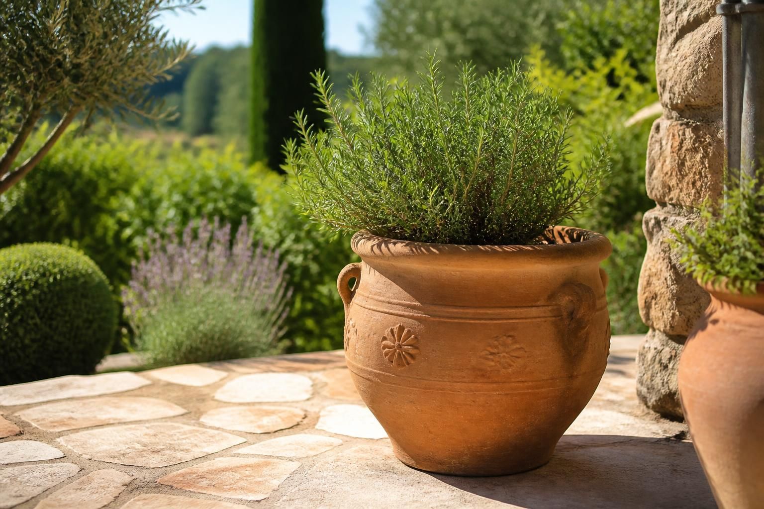 découvrez quelles plantes choisir pour sublimer une poterie d'anduze avec nos astuces de jardinier et créez un espace vert unique et élégant.