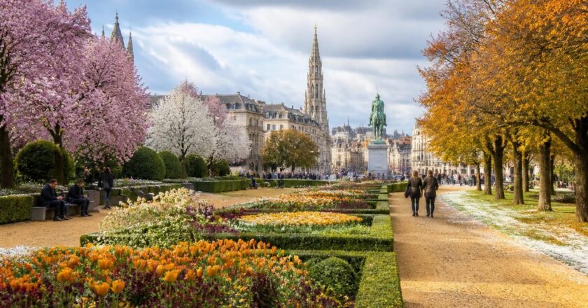 Le jardin du Mont des Arts : un espace vert à explorer toute l’année