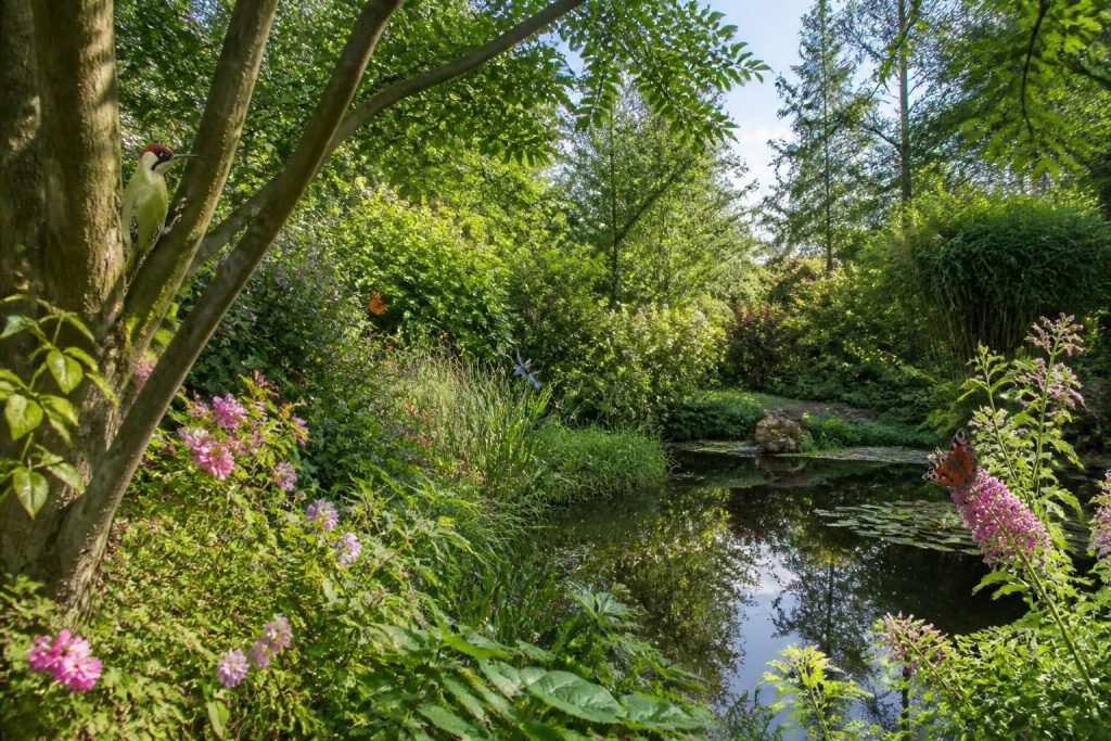 découvrez les meilleurs avis sur le jardin du pic vert, un lieu unique pour une immersion naturelle exceptionnelle. plongez au cœur de la nature et laissez-vous émerveiller par sa beauté.